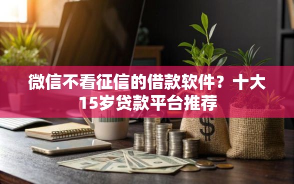 微信不看征信的借款软件？十大15岁贷款平台推荐