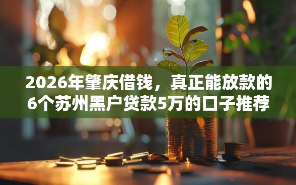 2026年肇庆借钱，真正能放款的6个苏州黑户贷款5万的口子推荐