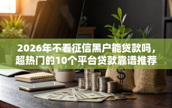 2026年不看征信黑户能贷款吗，超热门的10个平台贷款靠谱推荐