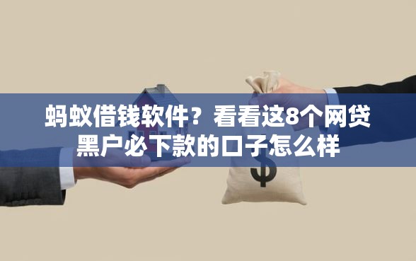 蚂蚁借钱软件？看看这8个网贷黑户必下款的口子怎么样