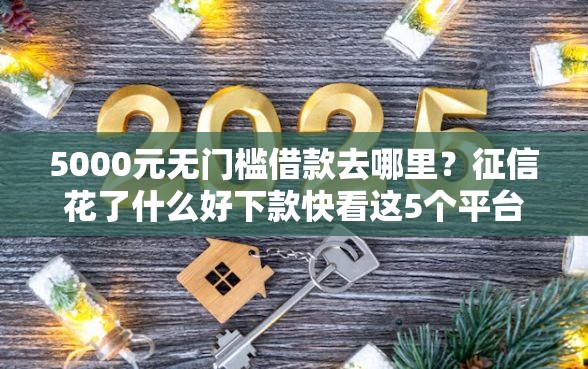 5000元无门槛借款去哪里？征信花了什么好下款快看这5个平台