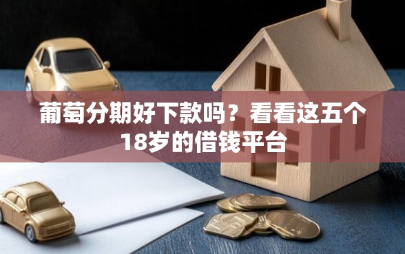 葡萄分期好下款吗？看看这五个18岁的借钱平台