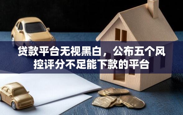 贷款平台无视黑白，公布五个风控评分不足能下款的平台