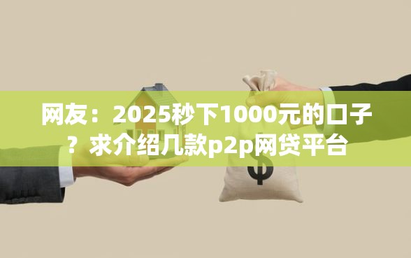 网友：2025秒下1000元的口子？求介绍几款p2p网贷平台