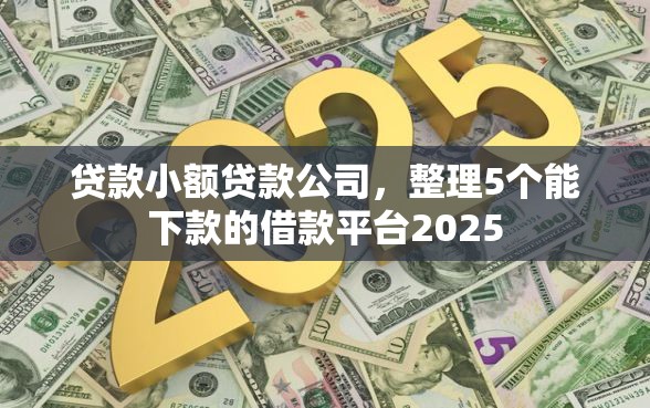 贷款小额贷款公司，整理5个能下款的借款平台2025