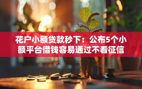 花户小额贷款秒下：公布5个小额平台借钱容易通过不看征信