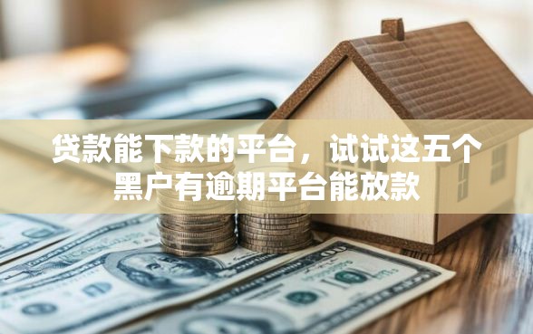 贷款能下款的平台，试试这五个黑户有逾期平台能放款
