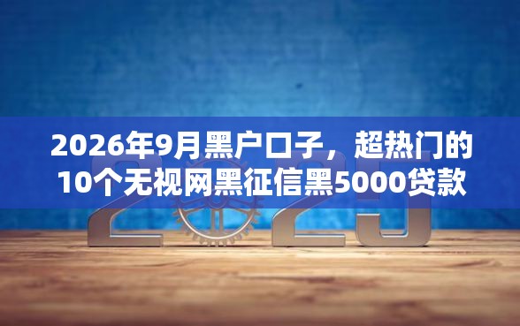 2026年9月黑户口子，超热门的10个无视网黑征信黑5000贷款口子推荐