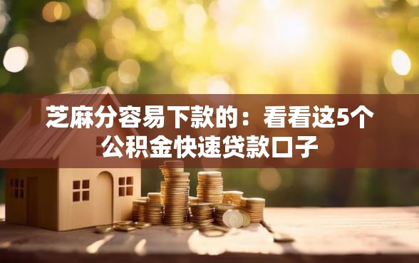 芝麻分容易下款的：看看这5个公积金快速贷款口子