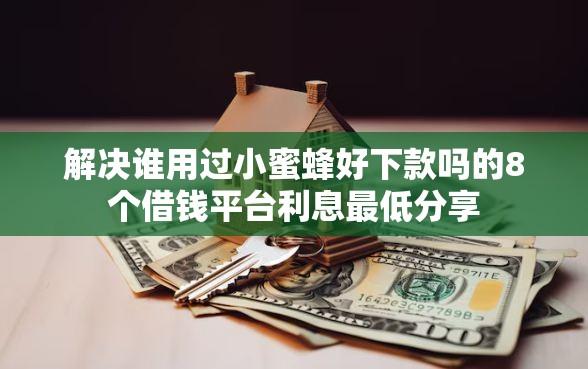解决谁用过小蜜蜂好下款吗的8个借钱平台利息最低分享
