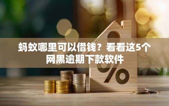 蚂蚁哪里可以借钱？看看这5个网黑逾期下款软件