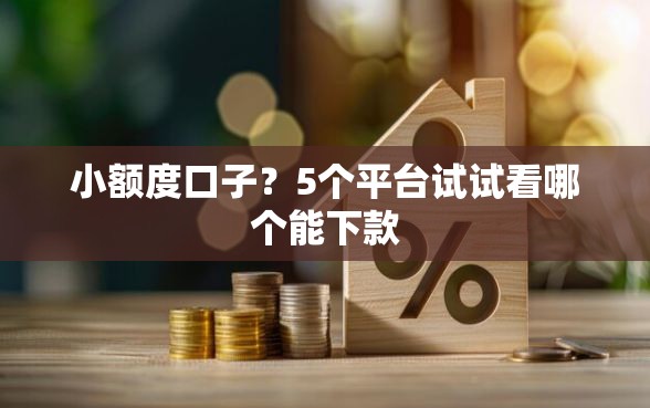 小额度口子？5个平台试试看哪个能下款