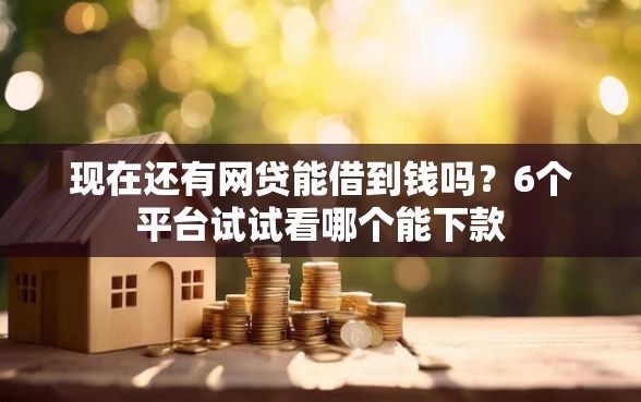现在还有网贷能借到钱吗？6个平台试试看哪个能下款