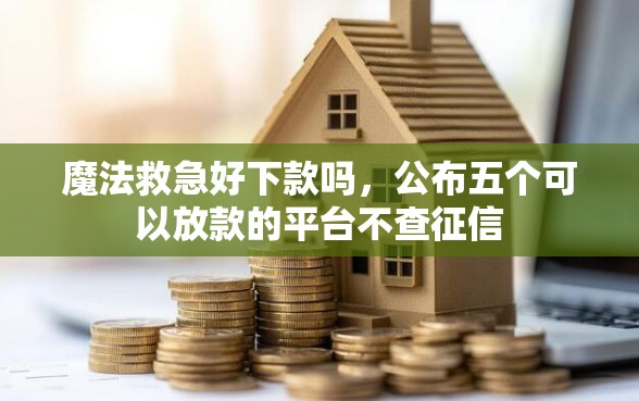 魔法救急好下款吗，公布五个可以放款的平台不查征信