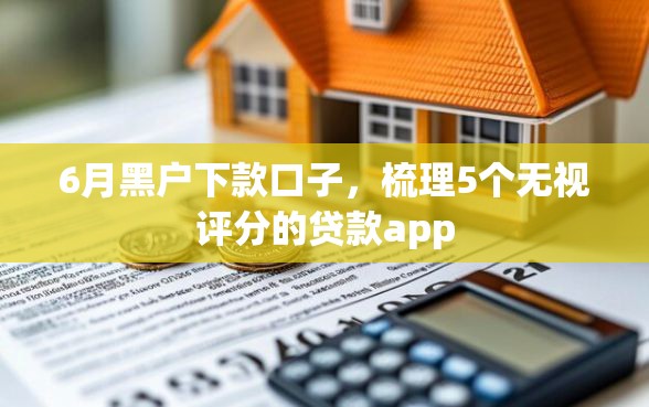 6月黑户下款口子，梳理5个无视评分的贷款app