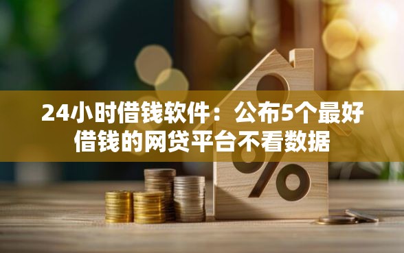 24小时借钱软件：公布5个最好借钱的网贷平台不看数据