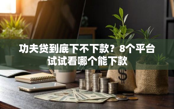 功夫贷到底下不下款？8个平台试试看哪个能下款
