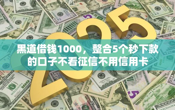黑道借钱1000，整合5个秒下款的口子不看征信不用信用卡