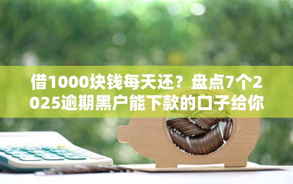 借1000块钱每天还？盘点7个2025逾期黑户能下款的口子给你参考