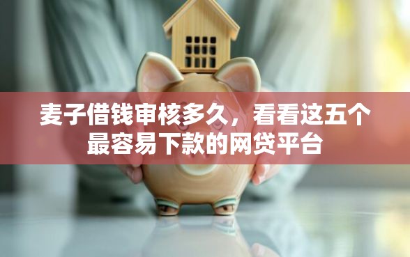 麦子借钱审核多久，看看这五个最容易下款的网贷平台