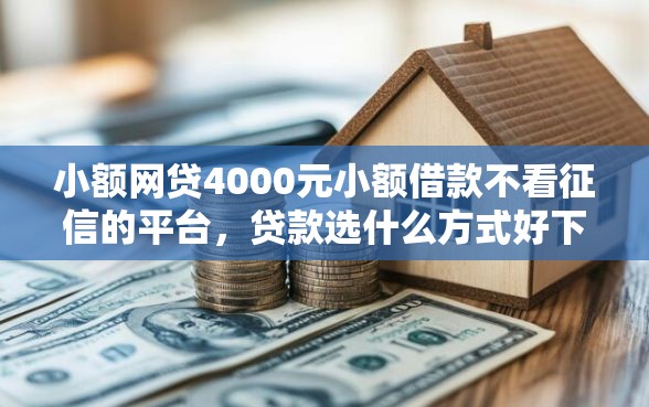 小额网贷4000元小额借款不看征信的平台，贷款选什么方式好下款呢的5个平台介绍