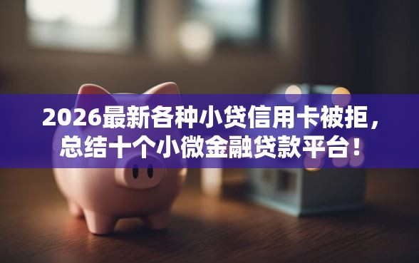 2026最新各种小贷信用卡被拒，总结十个小微金融贷款平台！