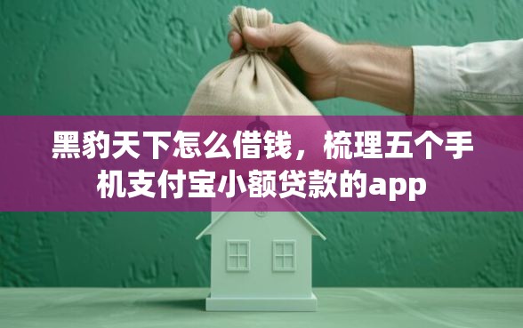 黑豹天下怎么借钱，梳理五个手机支付宝小额贷款的app