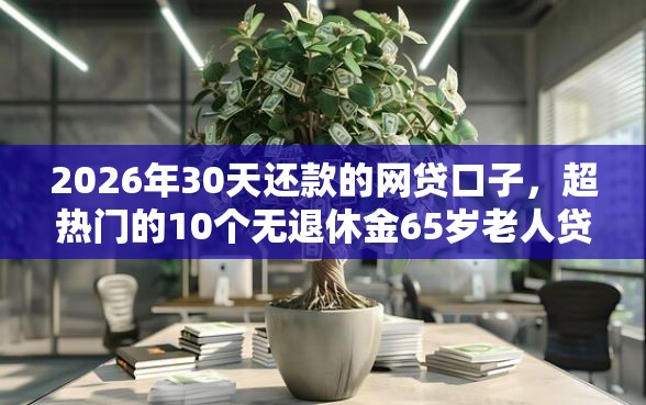 2026年30天还款的网贷口子，超热门的10个无退休金65岁老人贷款平台推荐