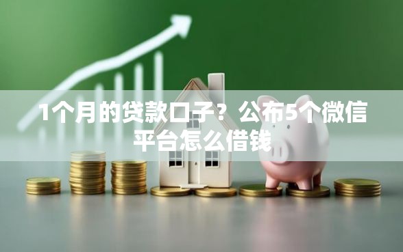 1个月的贷款口子？公布5个微信平台怎么借钱