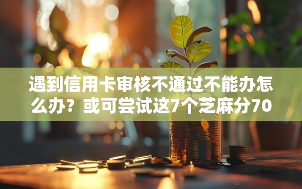 遇到信用卡审核不通过不能办怎么办？或可尝试这7个芝麻分700能秒下的软件
