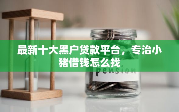 最新十大黑户贷款平台，专治小猪借钱怎么找