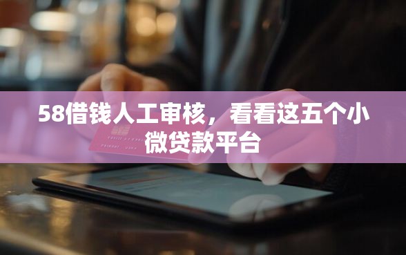 58借钱人工审核，看看这五个小微贷款平台