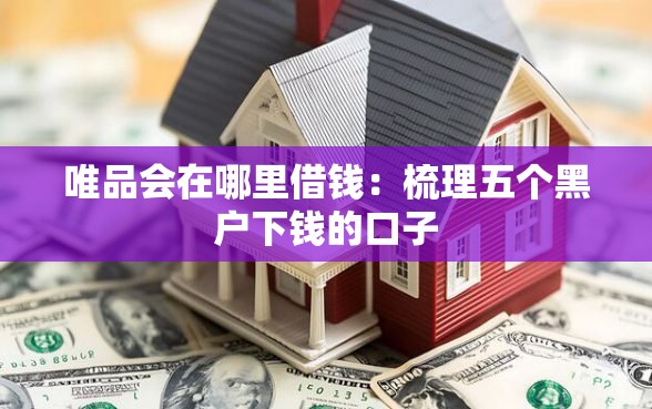 唯品会在哪里借钱：梳理五个黑户下钱的口子