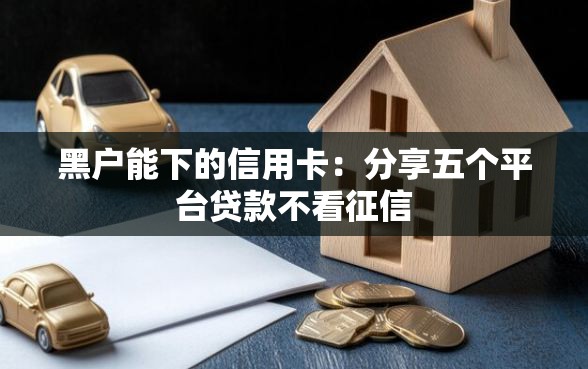 黑户能下的信用卡：分享五个平台贷款不看征信