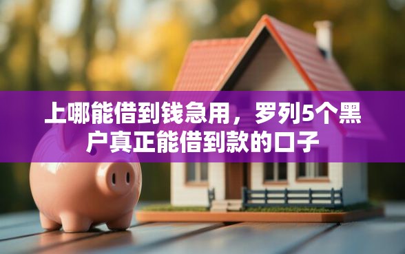 上哪能借到钱急用，罗列5个黑户真正能借到款的口子