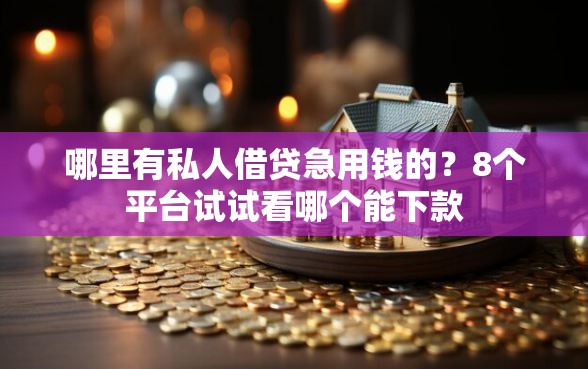哪里有私人借贷急用钱的？8个平台试试看哪个能下款