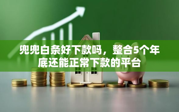 兜兜白条好下款吗，整合5个年底还能正常下款的平台