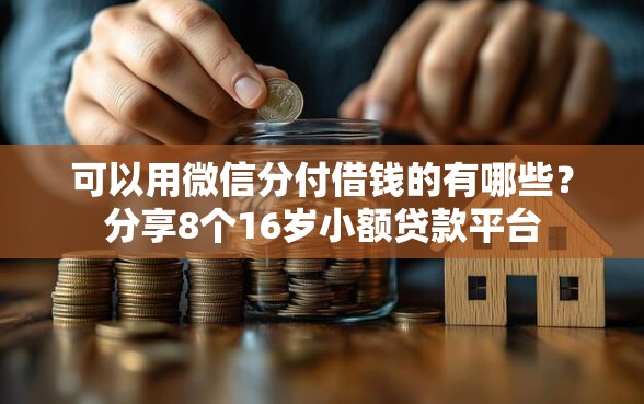 可以用微信分付借钱的有哪些？分享8个16岁小额贷款平台
