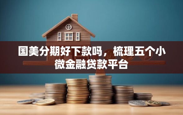国美分期好下款吗，梳理五个小微金融贷款平台