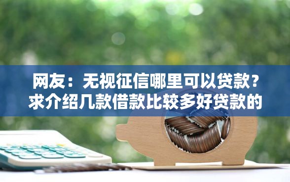 网友：无视征信哪里可以贷款？求介绍几款借款比较多好贷款的平台呢