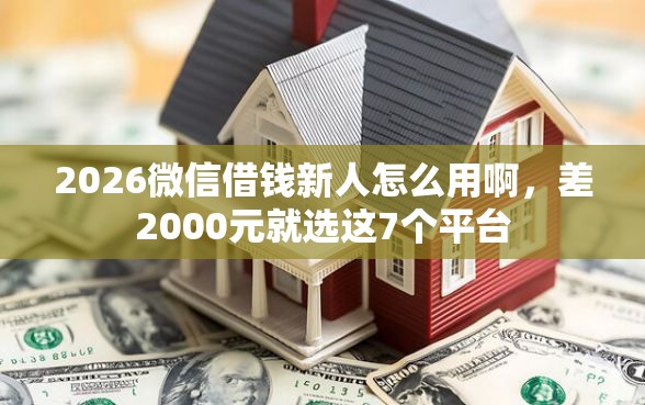 2026微信借钱新人怎么用啊，差2000元就选这7个平台