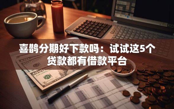 喜鹊分期好下款吗：试试这5个贷款都有借款平台