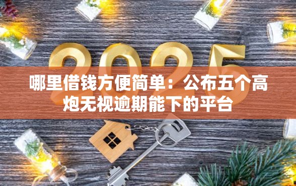 哪里借钱方便简单：公布五个高炮无视逾期能下的平台