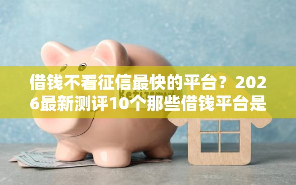 借钱不看征信最快的平台？2026最新测评10个那些借钱平台是正规的