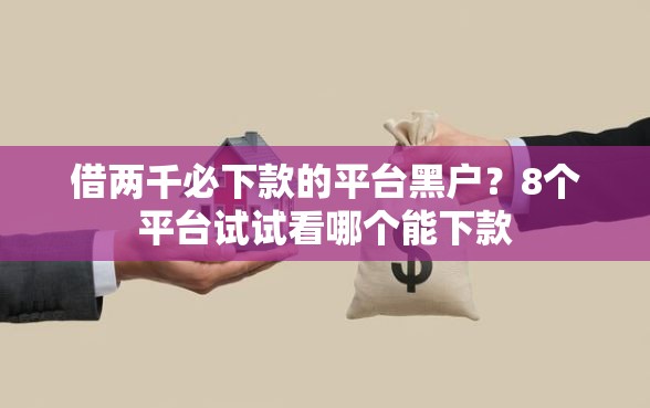 借两千必下款的平台黑户？8个平台试试看哪个能下款