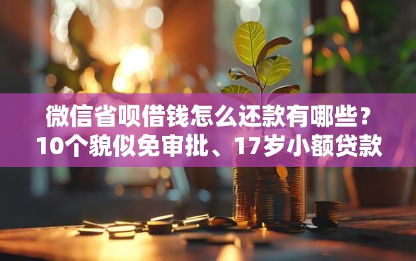 微信省呗借钱怎么还款有哪些？10个貌似免审批、17岁小额贷款平台合集