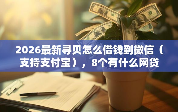 2026最新寻贝怎么借钱到微信（支持支付宝），8个有什么网贷平台无私分享