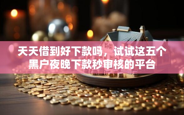 天天借到好下款吗，试试这五个黑户夜晚下款秒审核的平台