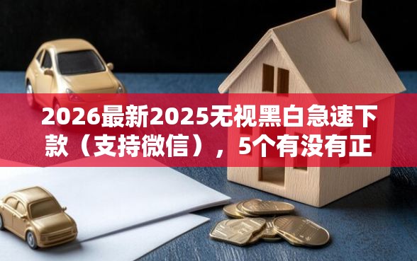 2026最新2025无视黑白急速下款（支持微信），5个有没有正规的贷款平台无私分享