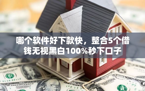 哪个软件好下款快，整合5个借钱无视黑白100%秒下口子